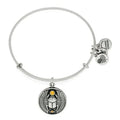 Scarab