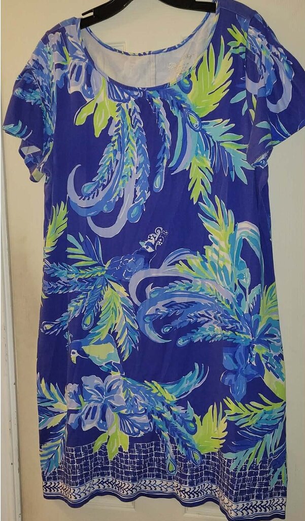Lilly Pulitzer Blue Border Print Dress