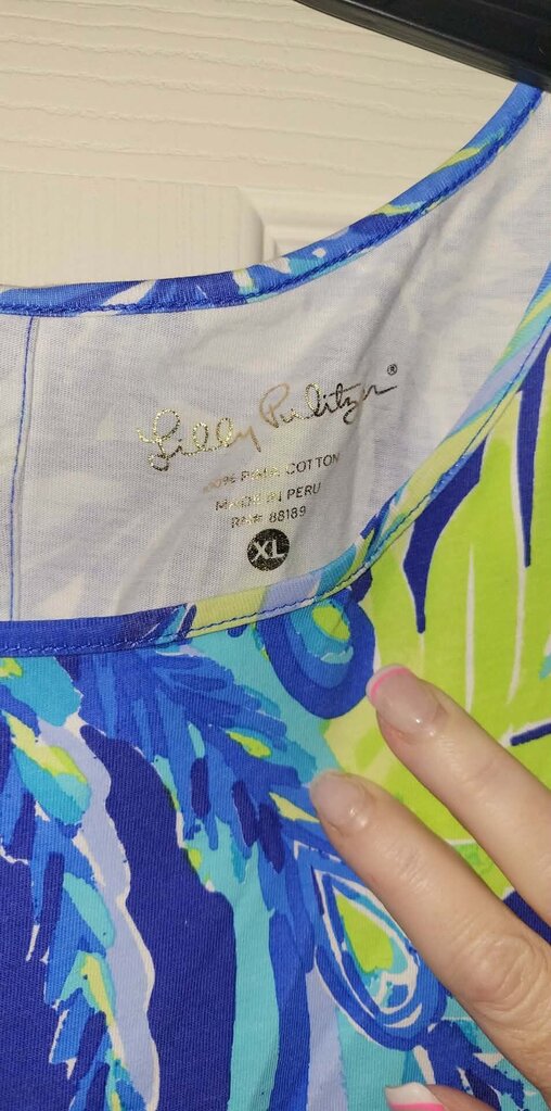 Lilly Pulitzer Blue Border Print Dress